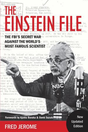 Cover of The Einstein File - New Updated Edition