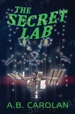 Cover of the book The Secret Lab by Roberto Mendes, Ricardo Loureiro, and Nas Hedron eds.
