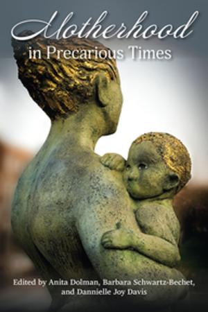 Cover of the book Motherhood in Precarious Times by Audra R. Upchurch