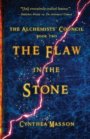 Cover of the book The Flaw in the Stone by Pamela Ditchoff