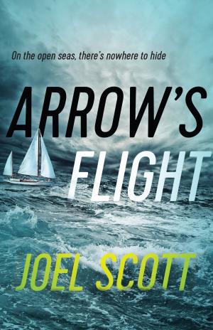 Cover of the book Arrow’s Flight by Terri Favro