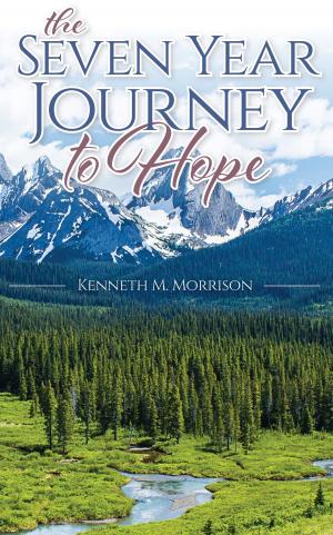 Cover of the book The Seven Year Journey to Hope by Anne-Marie Geertsen