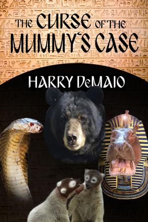 Book cover of The Curse of the Mummy's Case