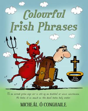 Cover of the book Colourful Irish Phrases by Micheal O'Callaghan