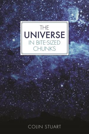 Cover of the book The Universe in Bite-sized Chunks by Tim Collins, John Bigwood