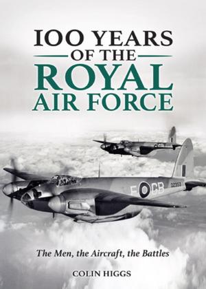 Book cover of 100 Years of The Royal Air Force