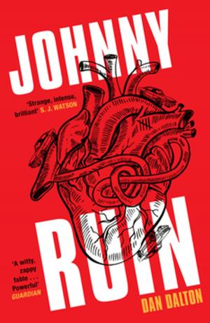 Cover of the book Johnny Ruin by Jamie Paradise