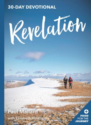 Cover of the book Revelation by Brad Haven