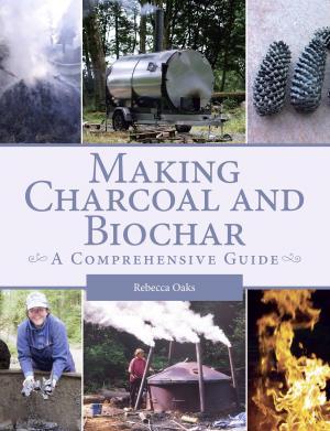 Cover of the book Making Charcoal and Biochar by Dave Boothroyd