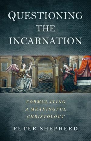 Cover of the book Questioning the Incarnation by Nikki Mackay