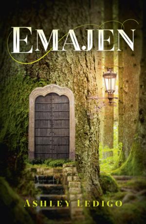 Cover of the book Emajen by Lisbeth Hultmann