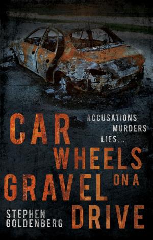 Cover of the book Car Wheels on a Gravel Drive by Markus Stormson