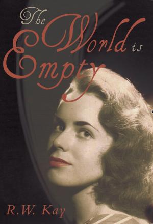 Cover of the book The World is Empty by David Stedman