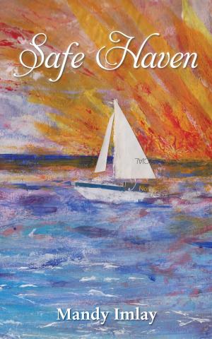 Cover of the book Safe Haven by Orok Out Duke