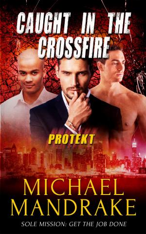 Cover of the book Caught in the Crossfire by Carol Lynne