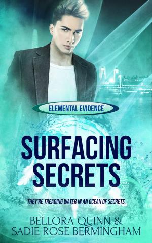 Cover of the book Surfacing Secrets by Naomi Bellina