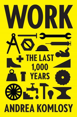 Cover of the book Work by Tony Norfield