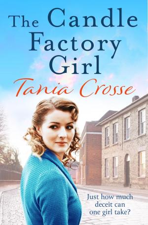 Cover of The Candle Factory Girl