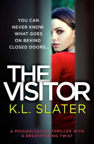 Cover of the book The Visitor by Keris Stainton