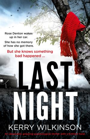 Cover of the book Last Night by Sue Watson