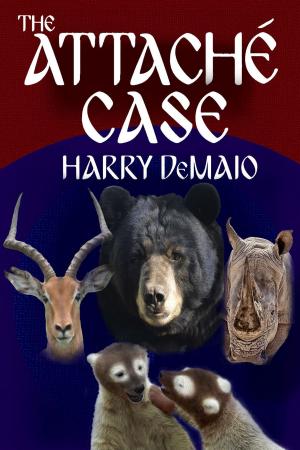 Book cover of The Attaché Case