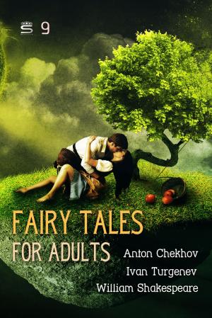 Cover of the book Fairy Tales for Adults by Jules Verne