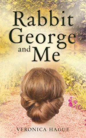 Cover of the book Rabbit George and Me by Stephen H. Smith