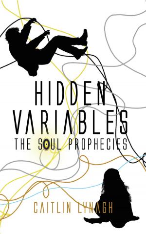 Cover of the book Hidden Variables by Dr Paul Gaffney