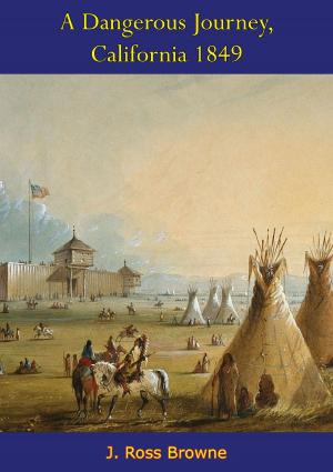 Cover of the book A Dangerous Journey, California 1849 by Emmett McLoughlin