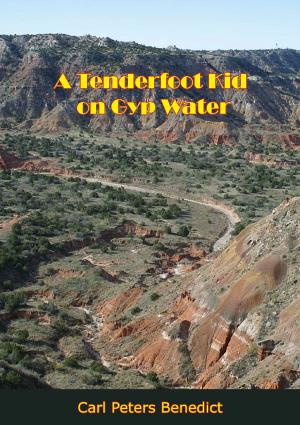 Cover of the book A Tenderfoot Kid on Gyp Water by Constance Wright