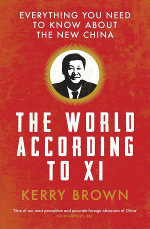 Cover of the book The World According to Xi by Mr. Michael Blair, Mr. Joe Bucciero