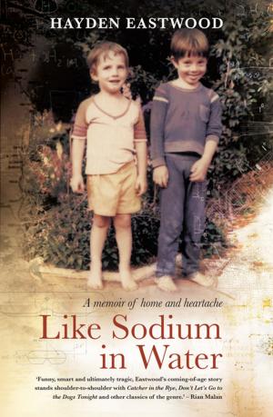 Cover of the book Like Sodium in Water by Johann van Loggerenberg