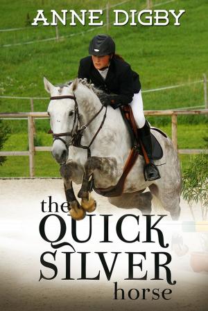 Book cover of The Quicksilver Horse