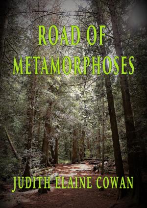 Cover of the book Road of Metamorphoses by Mandy Rice-Davies