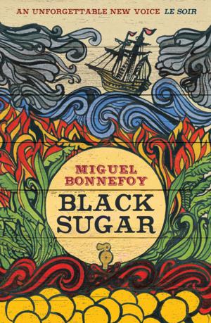 Cover of the book Black Sugar by Pascal Garnier