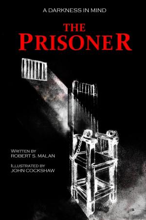 Cover of the book The Prisoner by A J Dalton