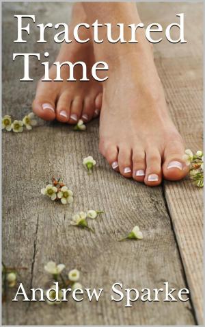 Cover of the book Fractured Time by Pete Crump