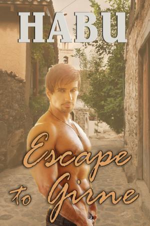 bigCover of the book Escape to Girne by 