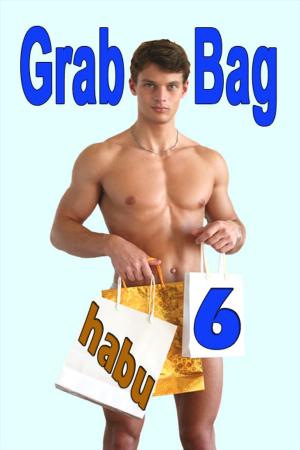 Book cover of Grab Bag 6
