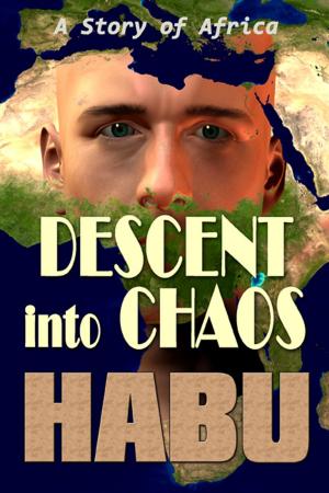 Book cover of Descent into Chaos