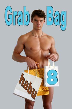 bigCover of the book Grab Bag 8 by 