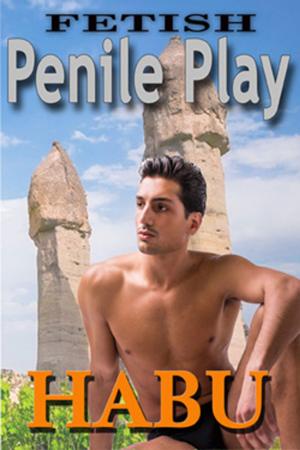 Cover of the book Fetish: Penile Play by habu