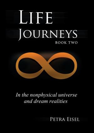 Book cover of Life Journeys