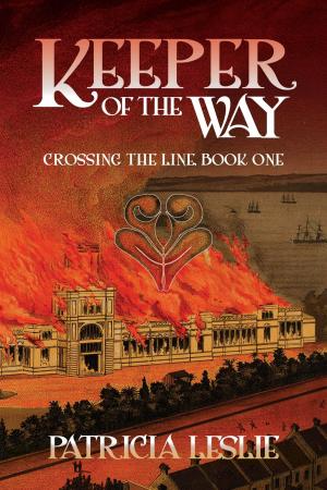 Cover of Keeper of the Way