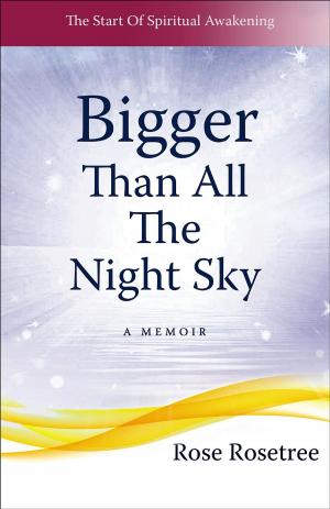 Book cover of Bigger than All the Night Sky