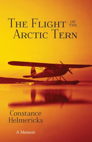 Cover of the book The Flight of the Arctic Tern by Michael Niemann