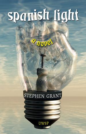 bigCover of the book Spanish Light: A Novel by 