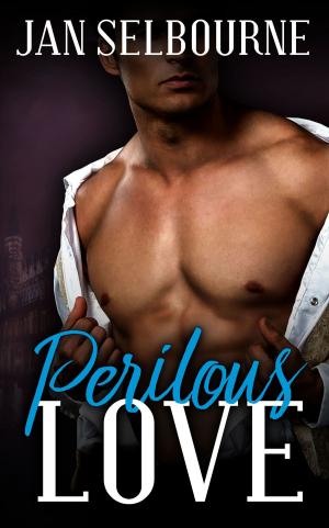 bigCover of the book Perilous Love by 