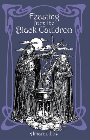Cover of the book Feasting from the Black Cauldron by D.J. Conway