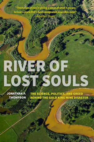 Cover of the book River of Lost Souls by Scott Graham